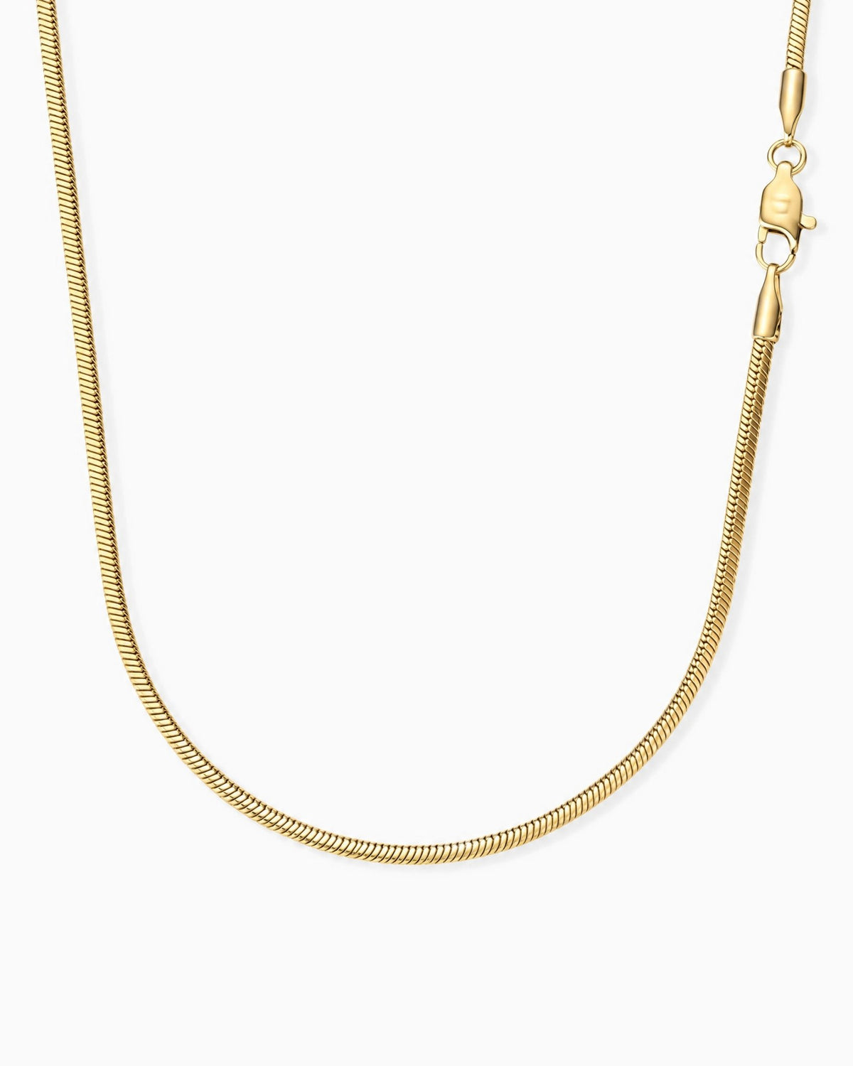 CLEAN SNAKE CHAIN. - 2MM GOLD - Drippy Amsterdam